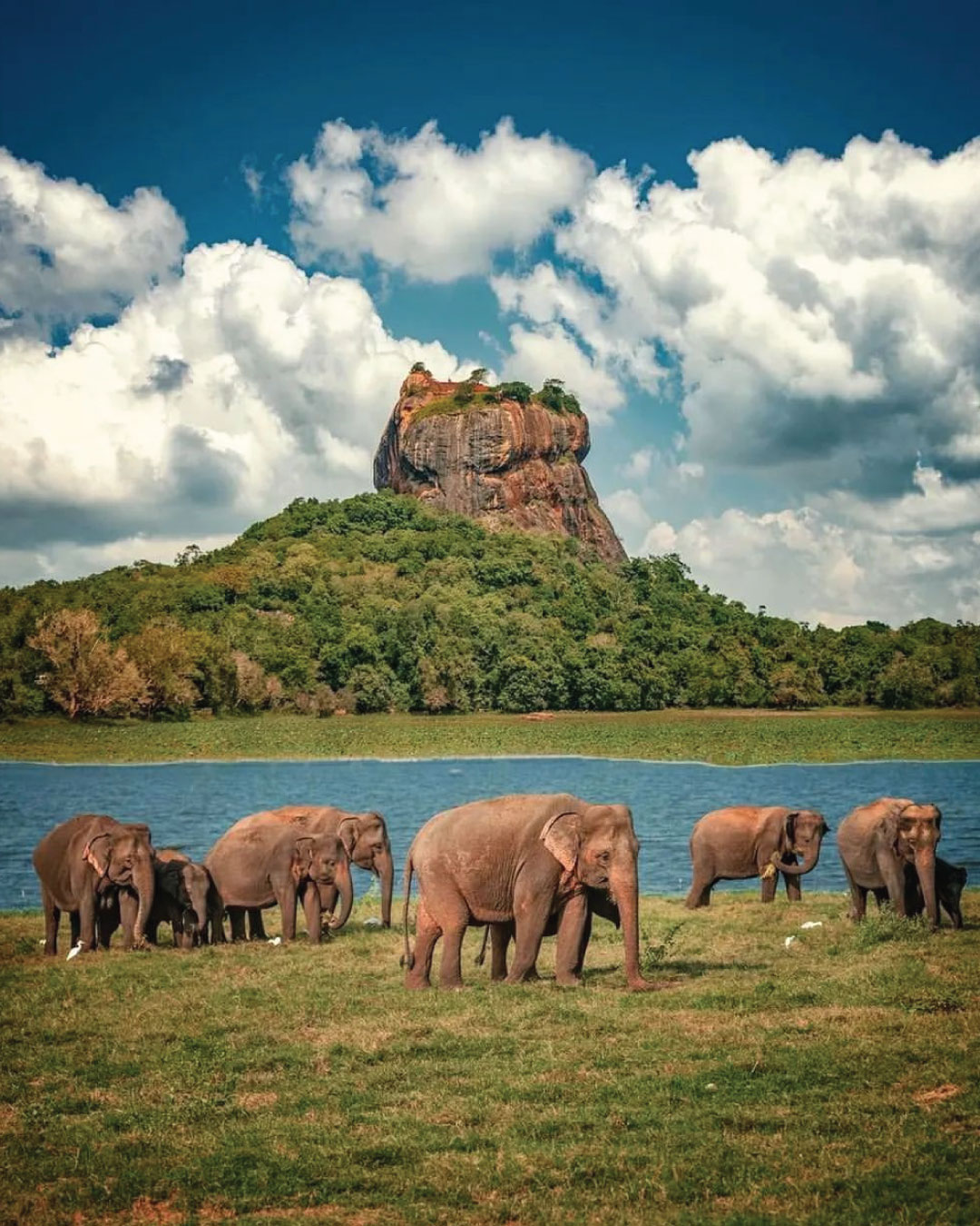 Sigiriya-4